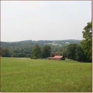 bit of country cabin