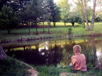 STOCKED FISHING POND BELOW CABINS