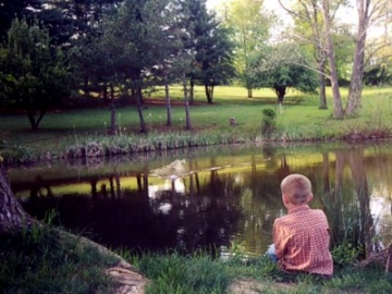 STOCKED FISHING POND BELOW CABINS