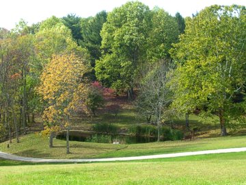 SCENIC POND VIEW BELOW CABINS