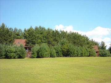 SECLUDED CABINS IN THE PINES