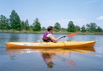 Get in touch with nature by Kayaking