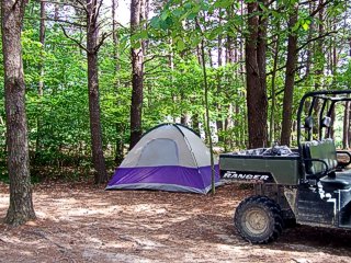 All Tent sites are in the shade 