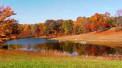private fishing lake in the fall