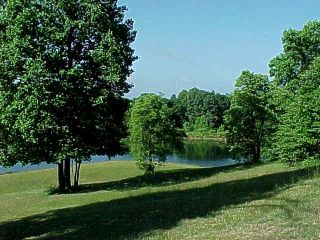 Walking Trails in adjoining Wayne National Forest 