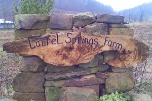 Laurel Springs Farm