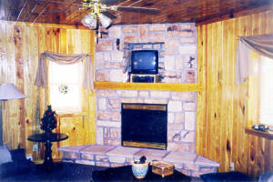 Living Room includes a cozy fireplace at Paradise Cabin, Logan, Hocking Hills, Ohio