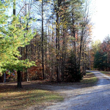 Cabins in the Pines, located in the beautiful Hocking Hills