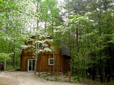 The treehouse front yard