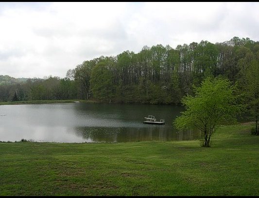 Swim and fish in the lake