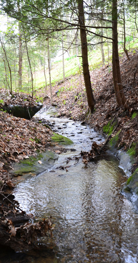 Brookside Cottage stream of water