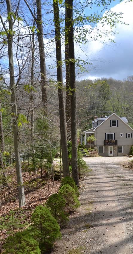 Brookside Cottage driveway