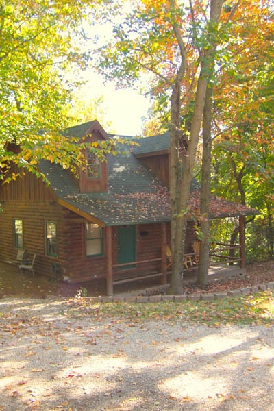 Hilltop Cabin backyard