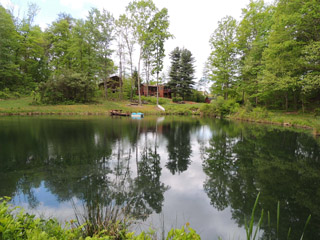The Cottage cabin pond close up