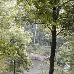 County line cabin pond