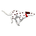 running dog