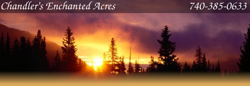 Chandlers enchanted acres sunrise