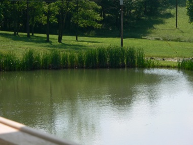 Frank Country Cottage pond