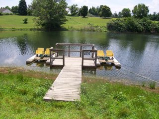 Paddle Boats