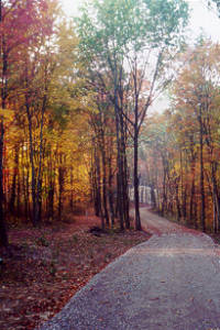 Idledeer Retreat, The Natural Place To Be, A private RV site for large rigs