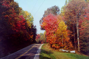 Idledeer Retreat,The Natural Place To Be, A private RV site for large rigs