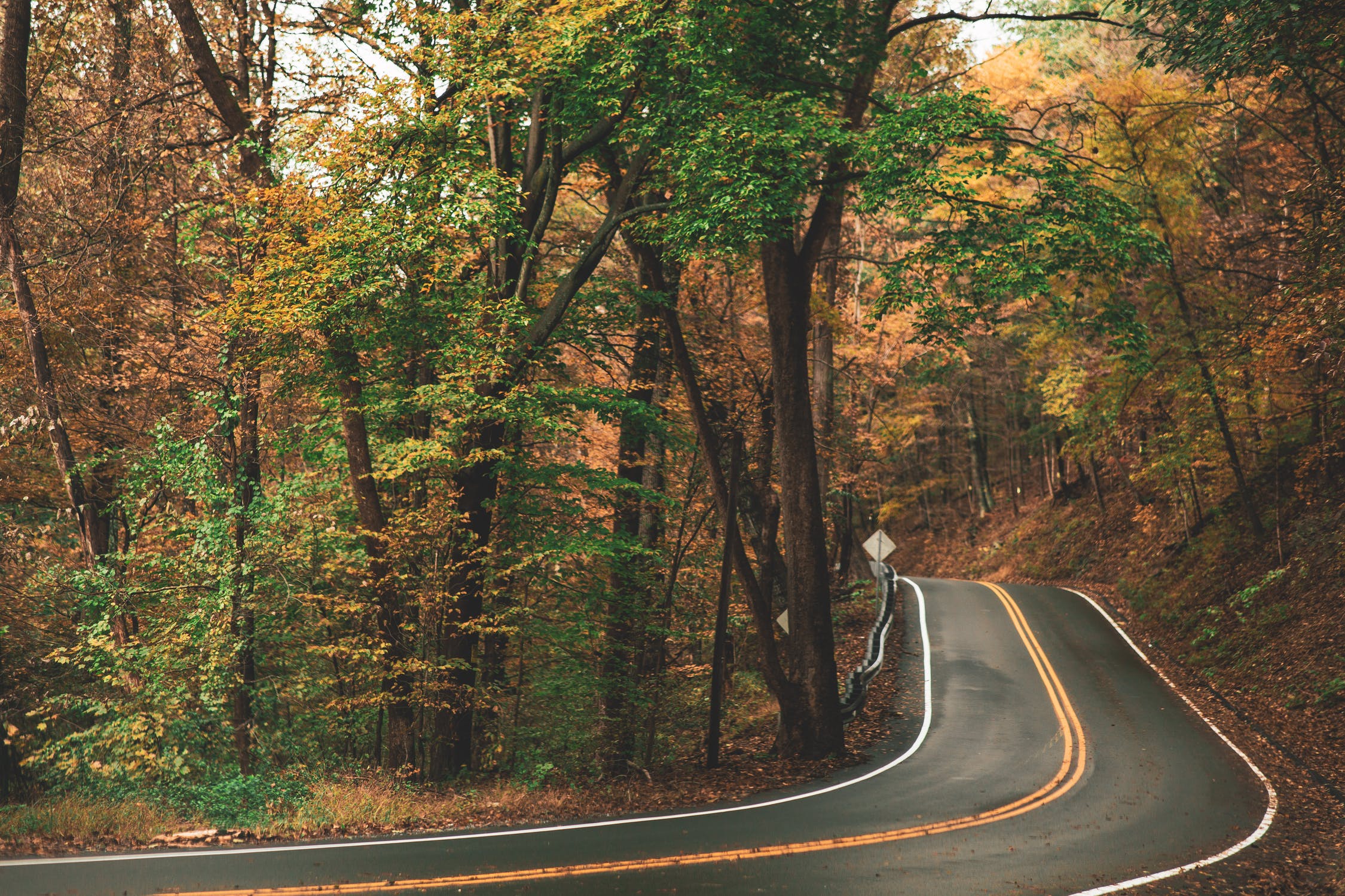 Most Beautiful Roads in Hocking Hills