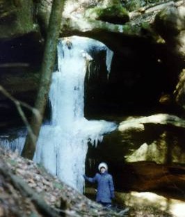 Rockbridge Forest