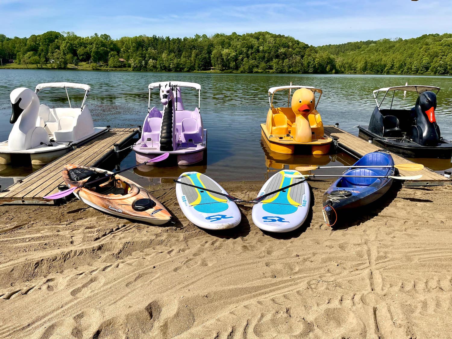 Kayak, Paddle Board, and animal peddle boat Rentals at Lake Logan