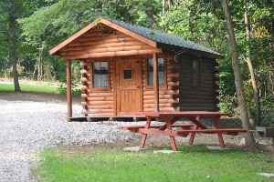 Picture of Chandler's Enchanted Acres