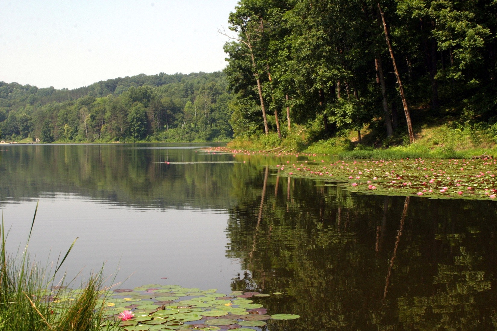 Tar Hollow State Park