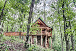 Picture of Canopy Ridge Cabins