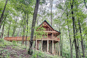 Canopy Ridge Cabins