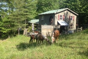 A Bend in the Road Cabins