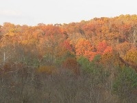 Appalachia Ohio Alliance Demonstration Area