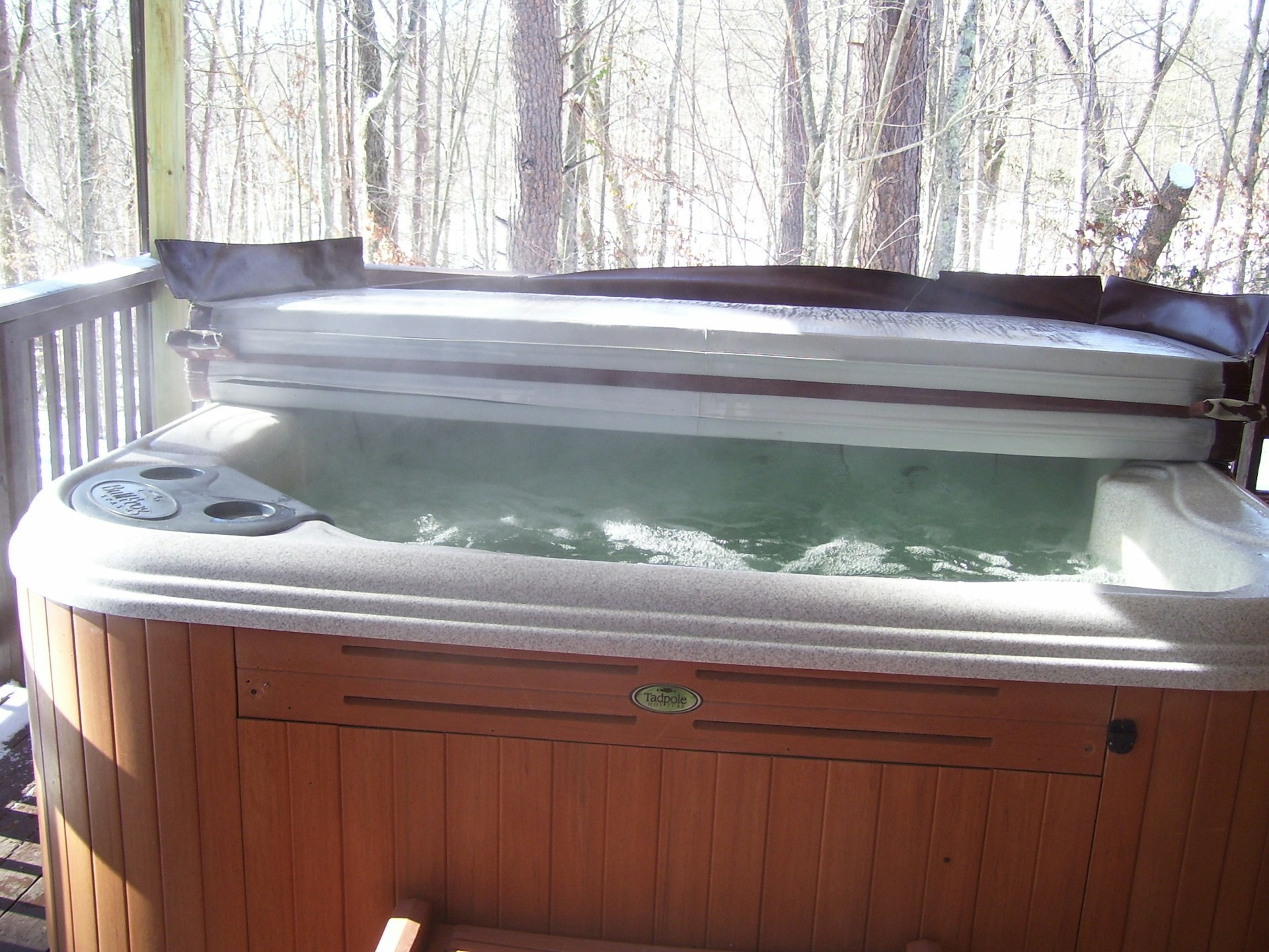 Picture of Beverly Hills Cabin