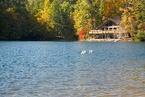 Monthly Nature Hike - Alley Park