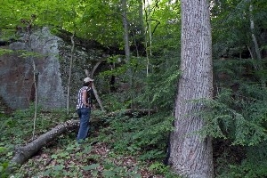 Kleinmaier State Nature Preserve