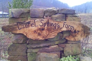 Picture of Laurel Springs Farm