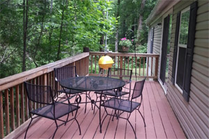 Nancy's Cabin on Wildcat