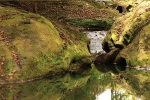 Boch Hollow State Nature Preserve