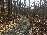 Boch Hollow State Nature Preserve