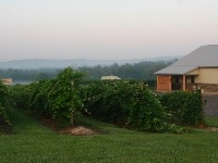 Rockside Winery and Vineyards