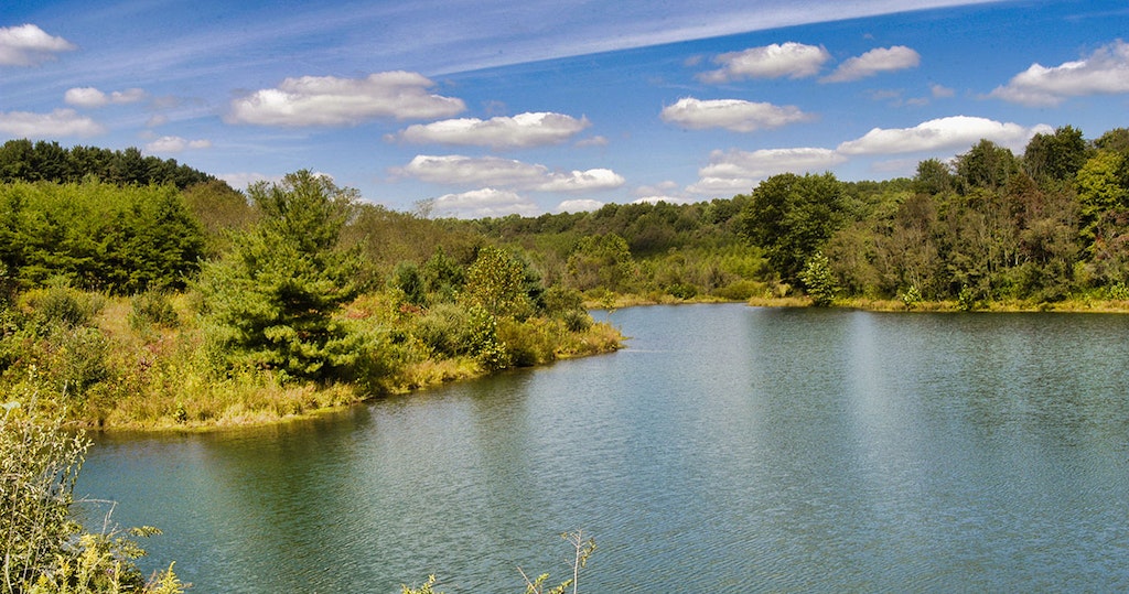 Perry State Forest