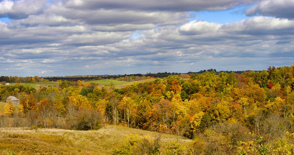 Blue Rock State Forest