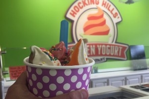 Froyo