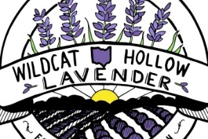 Wildcat Hollow Lavendar