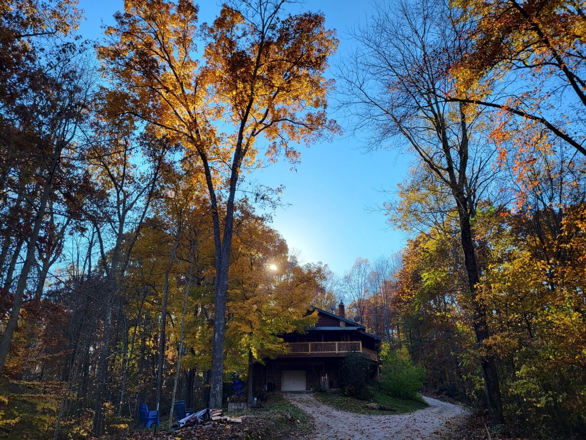 Fern Ridge Cabin