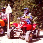 Wayne National Forest