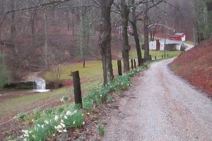 Campbell's Hollow Cottages