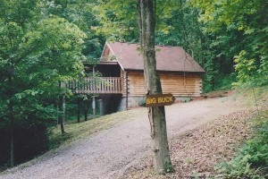 DeerWatch Cabins